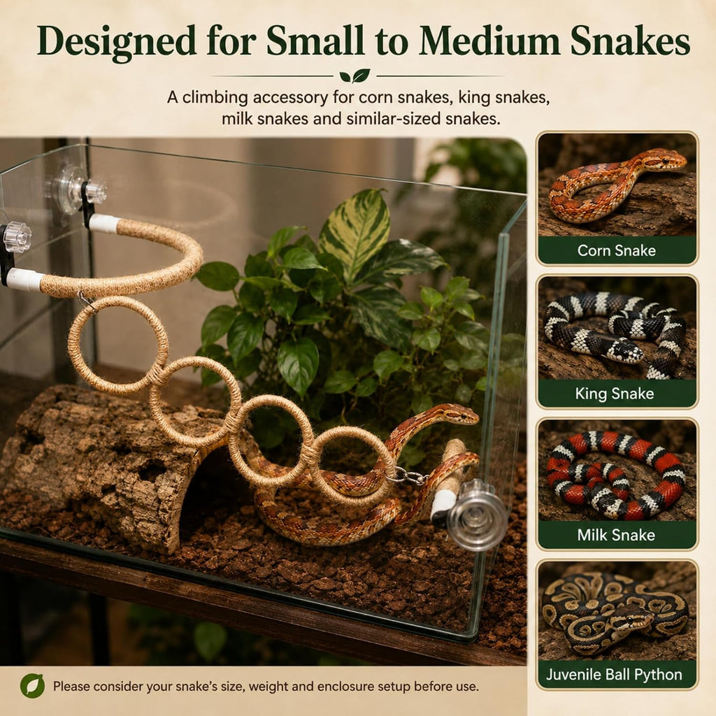Snake Climbing Perch with 4 Rings and 3 Suction Cup Terrarium Mounts