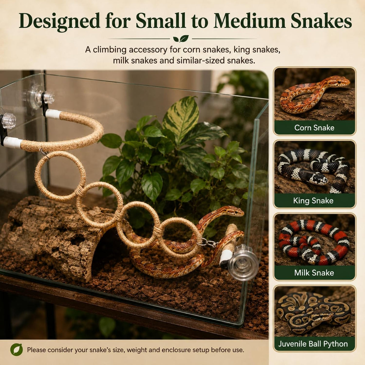 Snake Climbing Perch with 4 Rings and 3 Suction Cup Terrarium Mounts