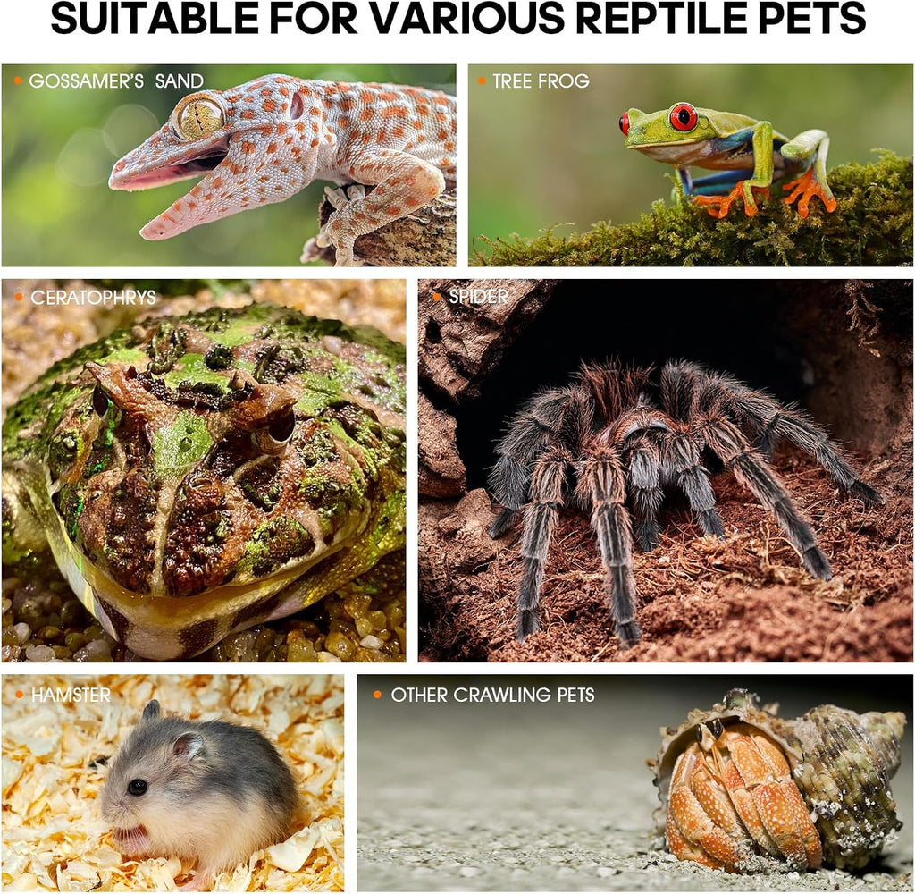 Acrylic Jumping Spider Enclosure - Insect Terrarium for Spiders, Mantises, Tarantulas & Frogs