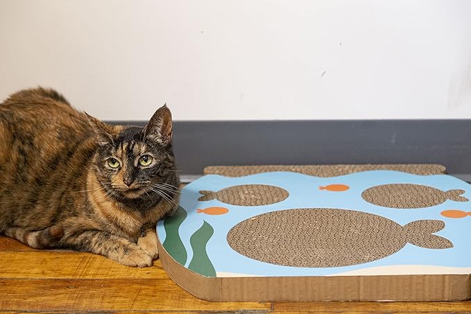 Pearhead Interactive Cat Scratch Toy, Fishbowl Theme - Image 2