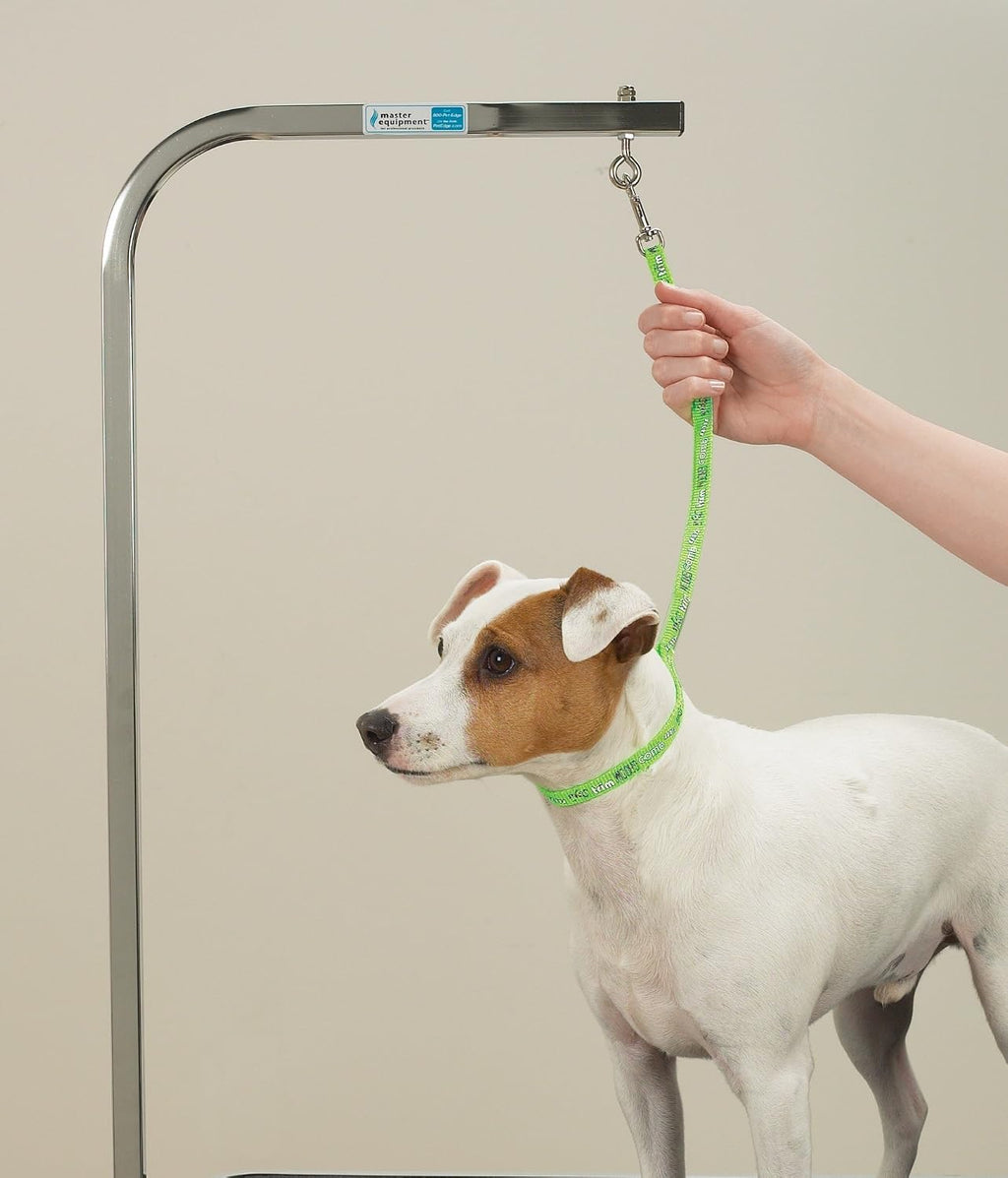 Top Performance Nylon Basic Screen Printed Pet Grooming Loop, 18-Inch, 4-Pack