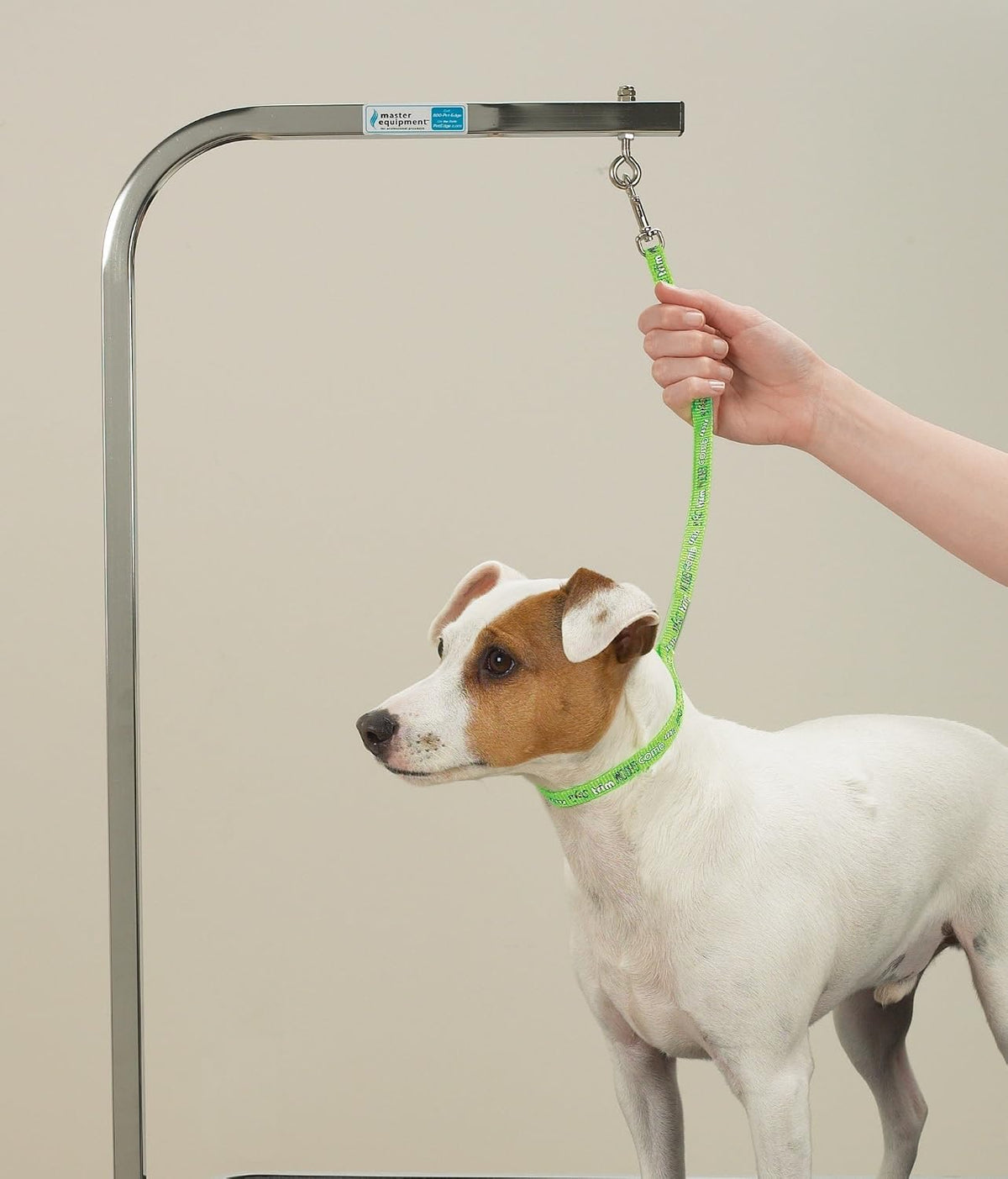 Top Performance Nylon Basic Screen Printed Pet Grooming Loop, 18-Inch, 4-Pack