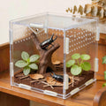Portable Acrylic Jumping Spider Terrarium 5.9" Cube for Spider, Mantis