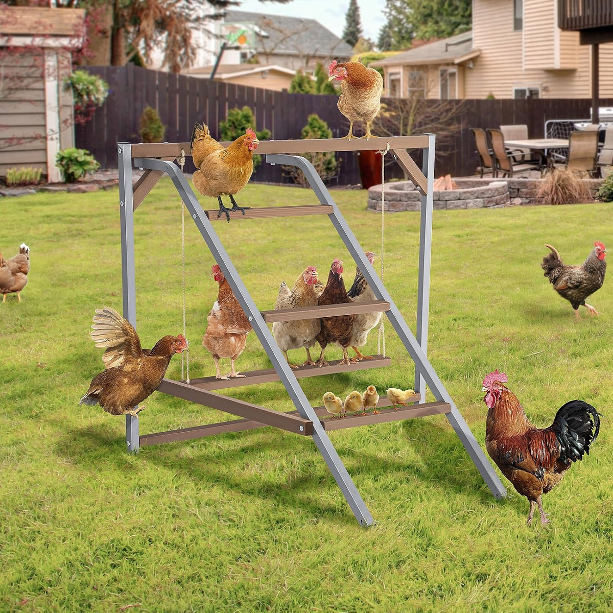 PETSFIT Chicken Perch, Solid Wood & Rustproof Iron Roosting Bar with Swing