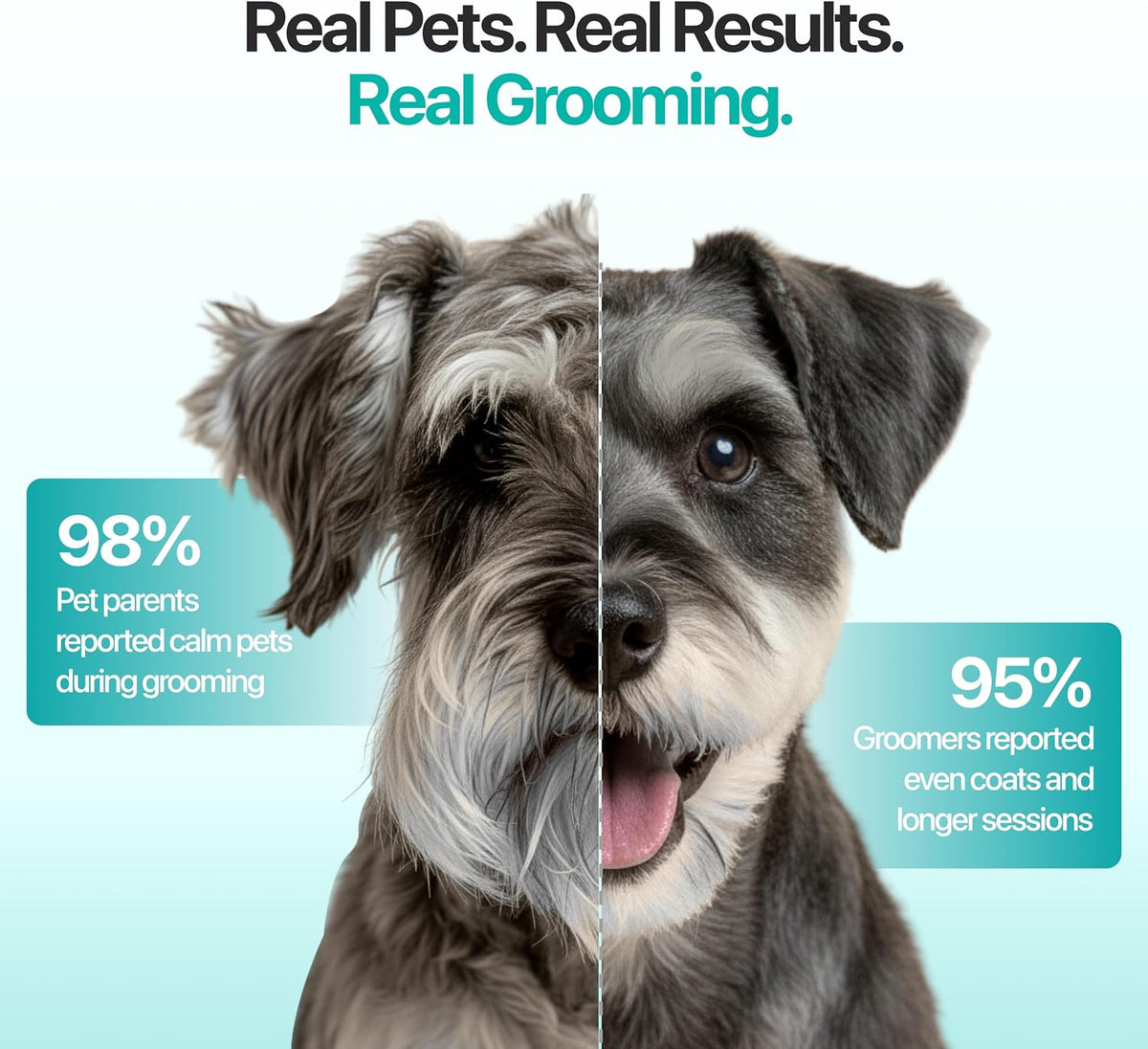 Falcon 2 Speed Cordless Dog Clippers - Professional Grooming, Teal