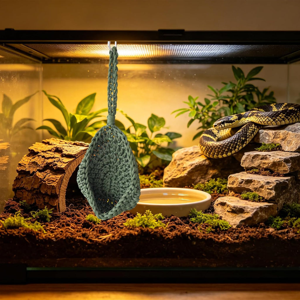 Snake Tank Accessories, Snake Enrichment Supplies, Snake Enclosure Accessories for Snakes, Lizards, Geckos and Small Reptiles