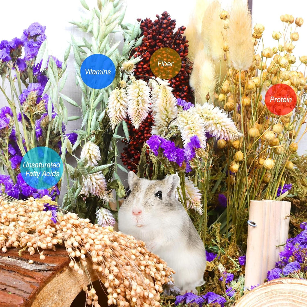 Natural Hamster Bedding, Hamster Herbs Flowers for Hamster Cage Enclosure Habitat Decor Hamster Sprays for Dwarf Syrian Guinea Hamsters Gerbil Degus or Other Small Animals（Flower Grain Version）