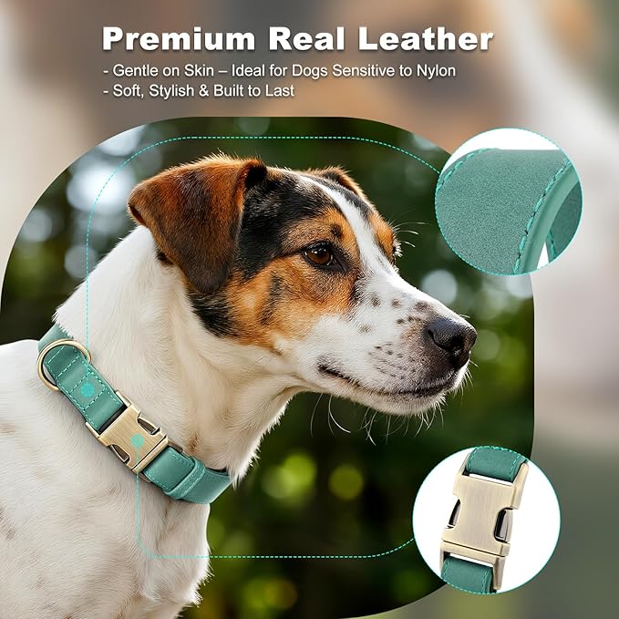 Plutus Pet Genuine Leather Dog Collar – Adjustable Pet Collar - Image 3