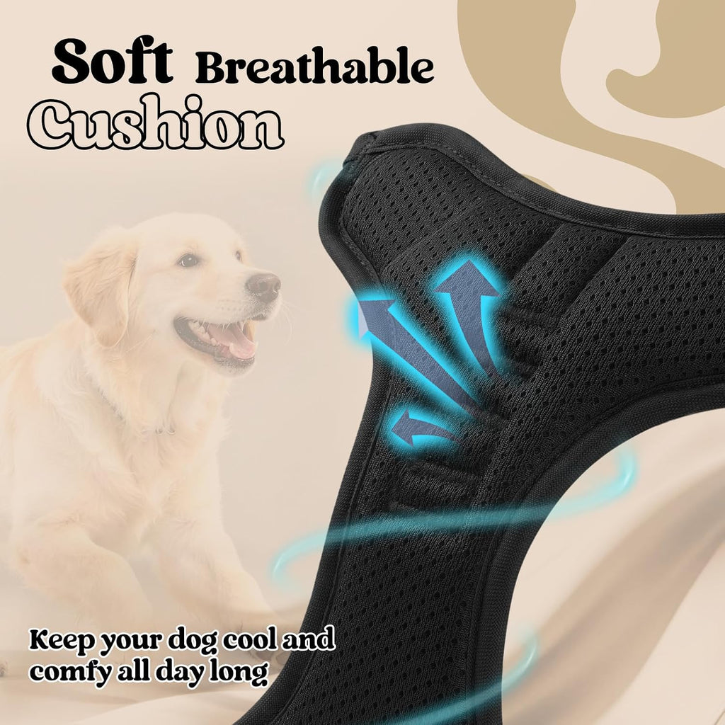 rabbitgoo Dog Harness, No Pull Medium Sized with 2 Leash Clips, Pet Vest