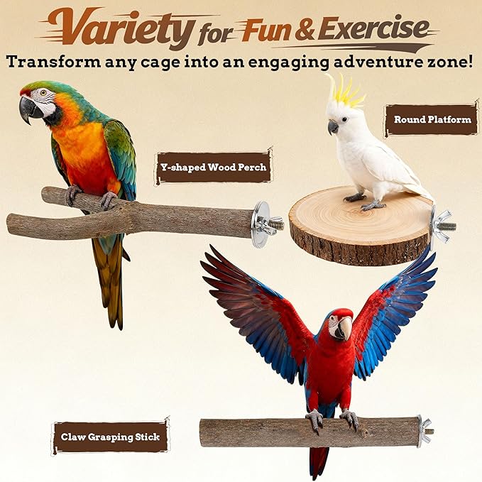 8 PCS Bird Perch Set, Natural Birch Wood Straight & Forked Perches - Image 5