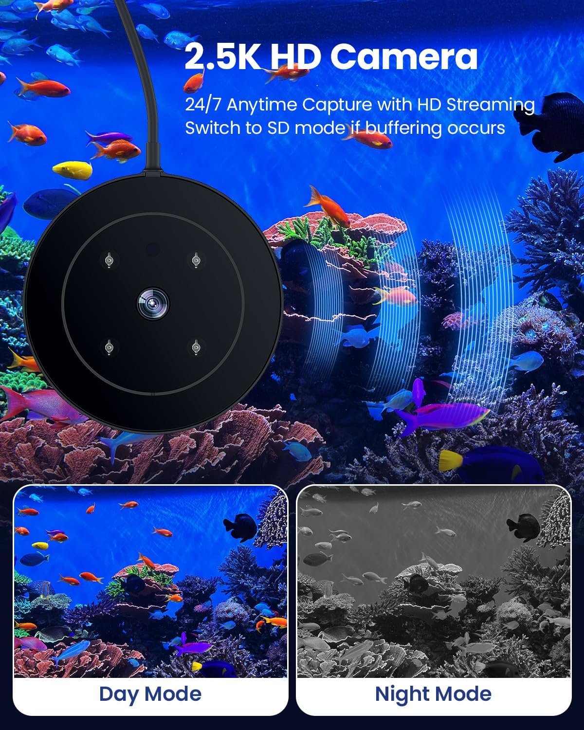 WiFi Automatic Fish Feeder for Aquarium, Auto Food Dispenser with Camera
