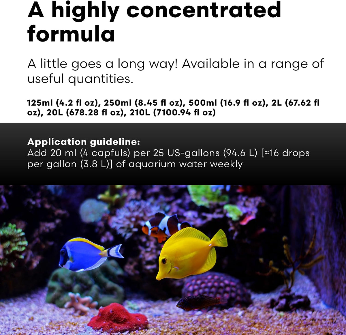 Brightwell Aquatics MicroBacter Clean Marine Aquarium Cleaner Aid, 250 ml