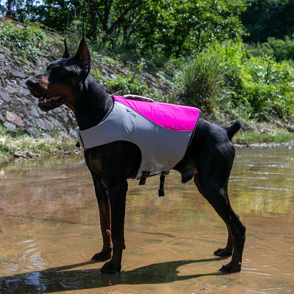 Dog Life Jacket, Sport Style Dog Float Coat with Excellent Buoyancy, Stylish Dog Swimming Safety Vest with Rescue Handle for Small Medium Large Dogs Rosered L