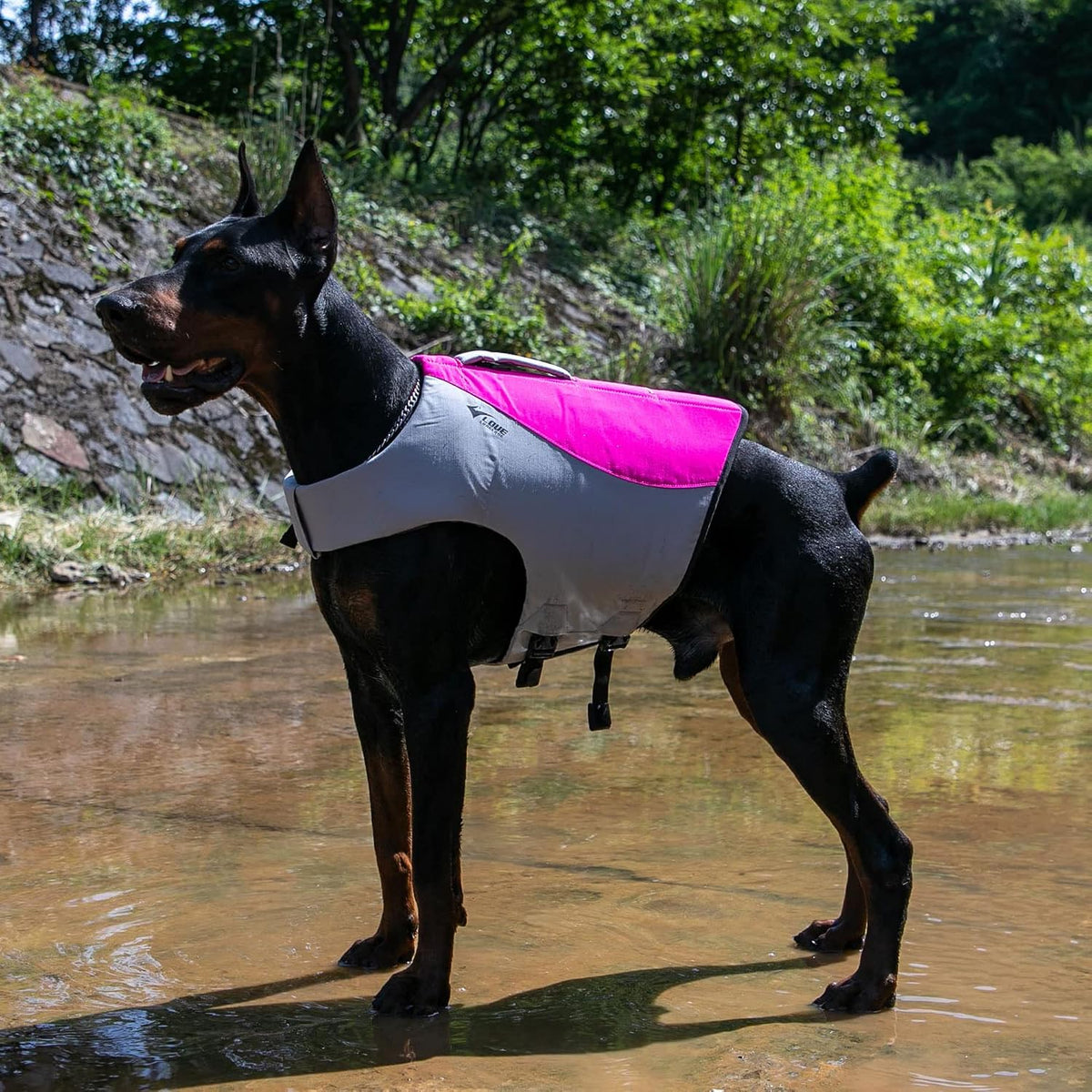 Dog Life Jacket, Sport Style Dog Float Coat with Excellent Buoyancy, Stylish Dog Swimming Safety Vest with Rescue Handle for Small Medium Large Dogs Rosered L