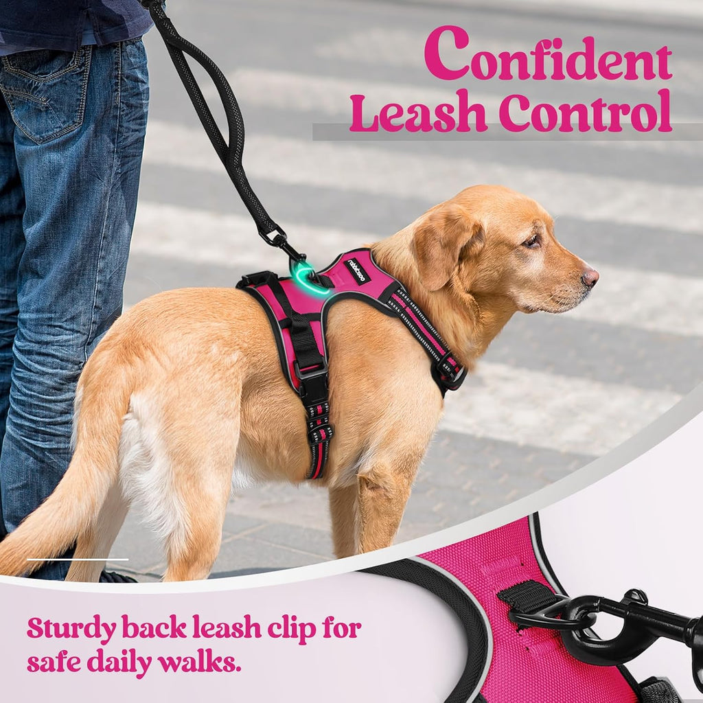 rabbitgoo Dog Harness, No Pull for Large Dogs with 2 Leash Clips, Pet Vest