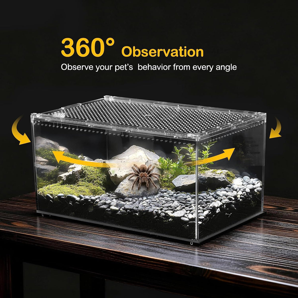 Reptile PC Tank,Escape Proof Magnetic Lid Tarantula Enclosure Small
