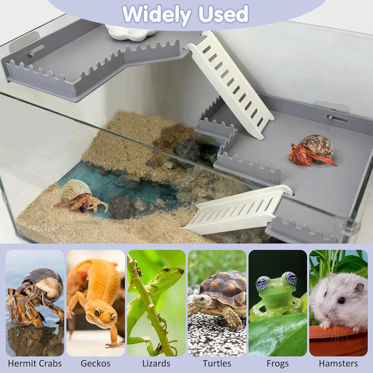 Hermit Crab Climbing Platform Habitat Tank Accessories