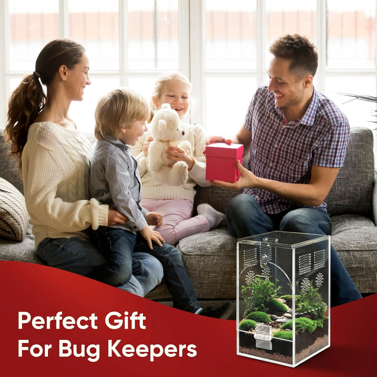 Set of 2 Jumping Spider Enclosure