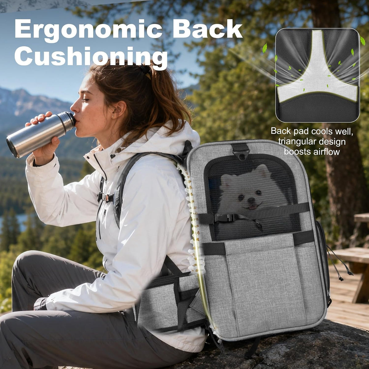Pet Carrier Backpack for Small Dogs & Cats with Elevated Booster Pad, Grey