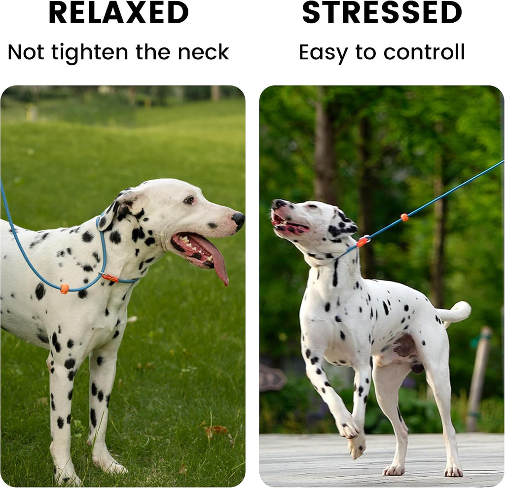 HowGo Slip Collar for Dogs,Adjustable Martingale Collar(Lavender,L)