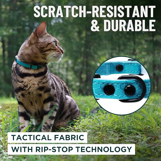 OutdoorBengal Red Breakaway Kitten Collar - Image 4