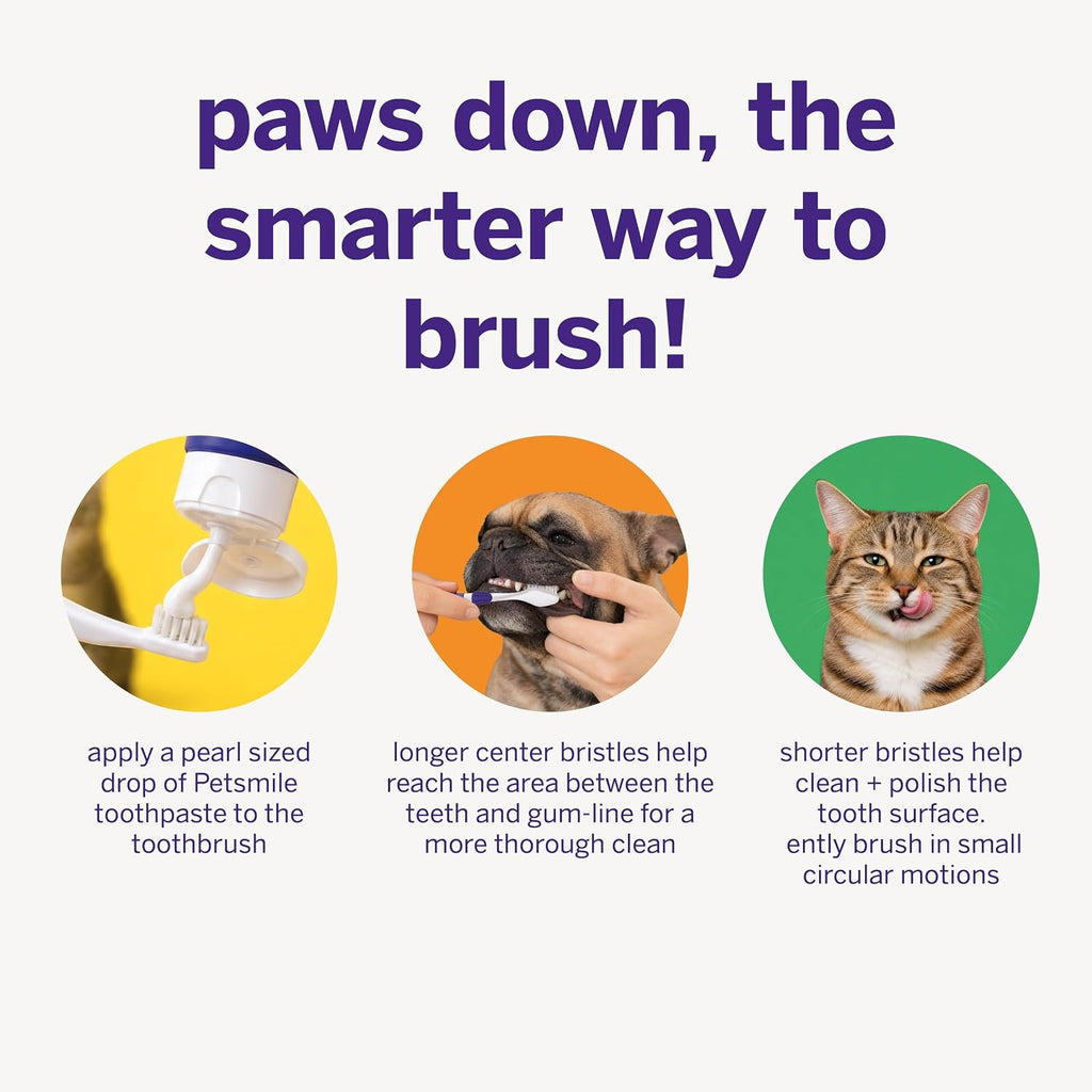 petsmile Professional Pet Toothbrush, Patented 45° Cats + Dogs