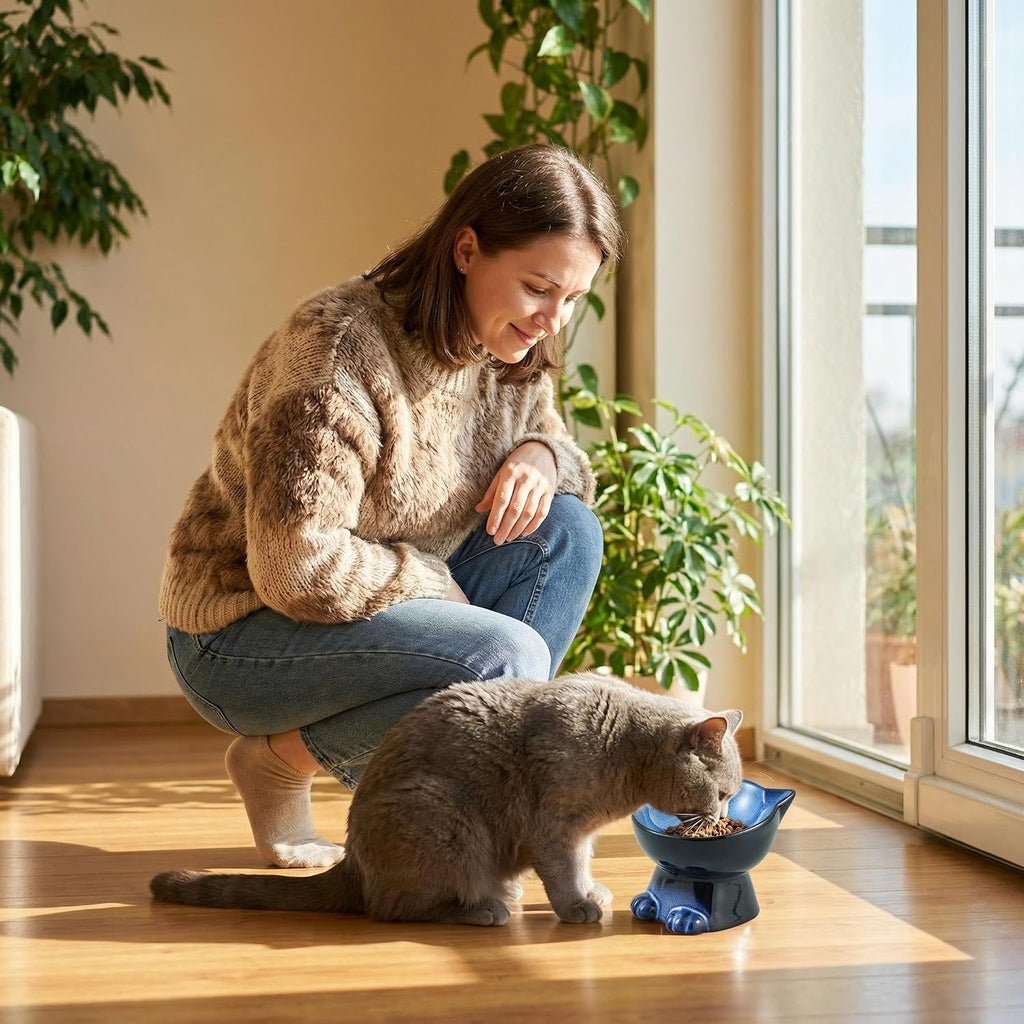 Nihow Elevated Cat Bowls,5 Inch Ceramic Raised Cat Food Bowl for Feeding