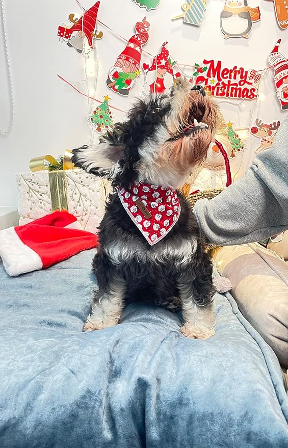 Lionet Paws Christmas Dog Bandana Washable Cotton Handkerchief Scarf Triangle - Image 3