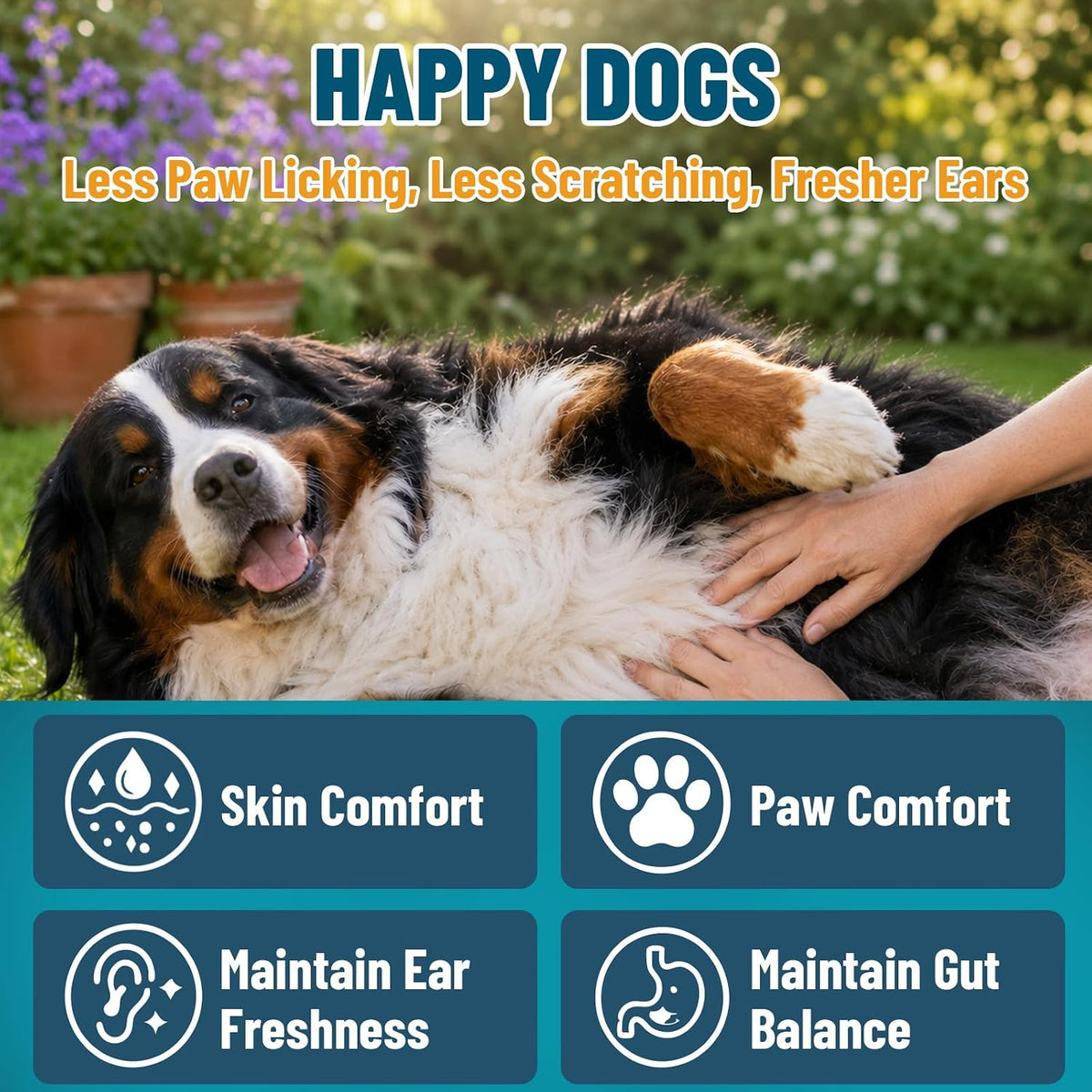 Yeast Infection Treatment for Dogs, Dog Yeast Chews Itch Relief 200 Chews