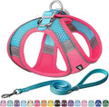 AIITLE Easy Walk Dog Harness and Leash Set by AIITLE-FORPETSBETTERLIFE