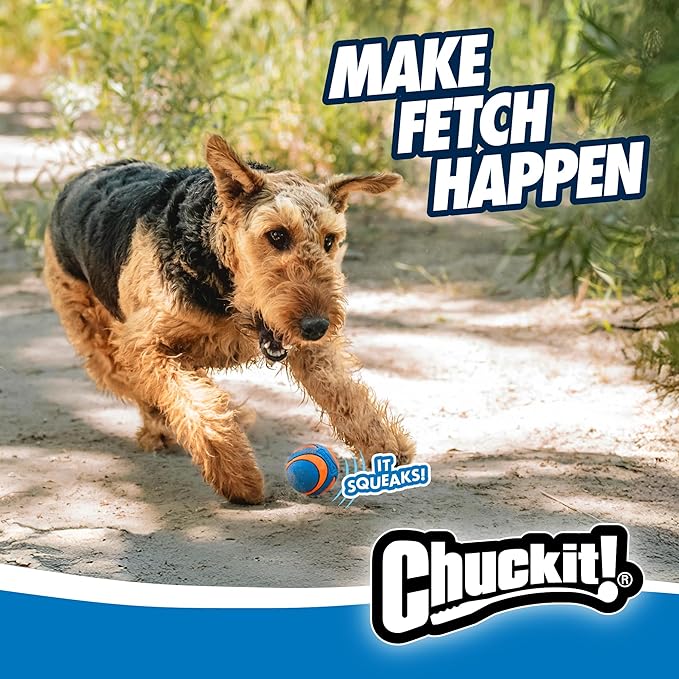 Chuckit! Ultra Squeaker Balls for Dogs, Floating Water Pet Toys, Durable Rubber - Image 7