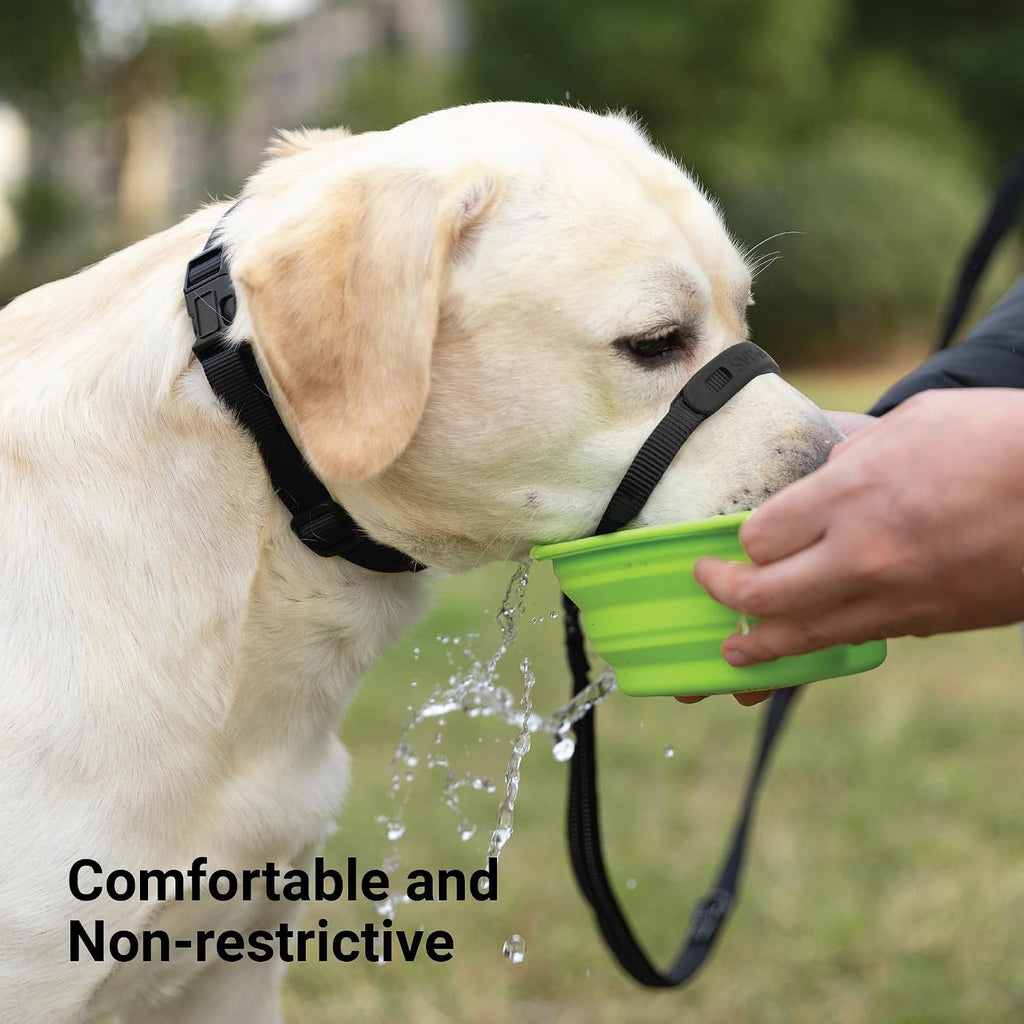 SVD.PET No-Pull Dog Headcollar for Easier Walks, Chew-Proof Protector to Increase Comfort, Simple Design, Easy to Wear and Adjust (Medium Size for Small and Medium Size Dogs)