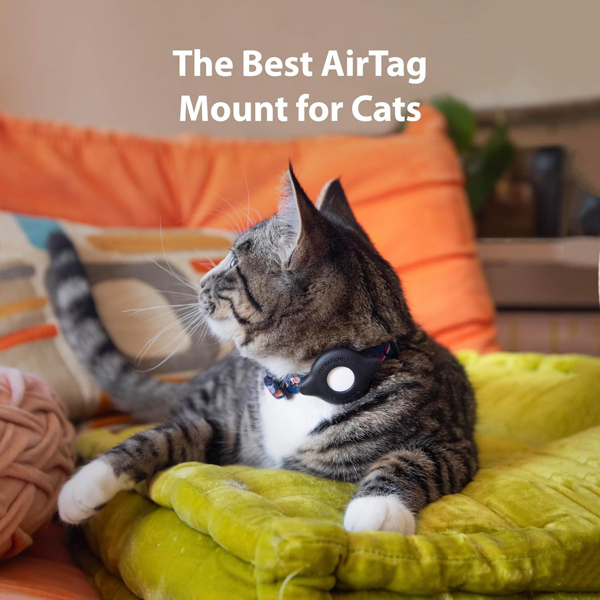 AirTag Cat Collar Holder | Elevation Lab