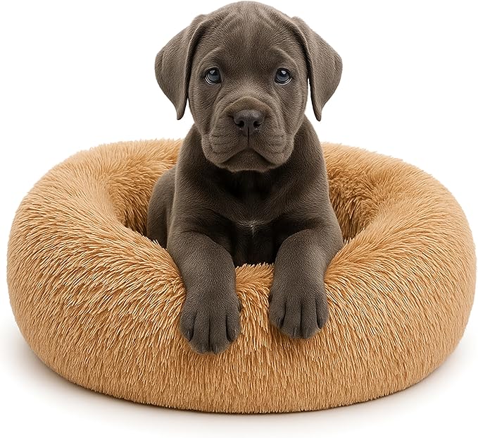 Calming Dog Bed by Shiny-V