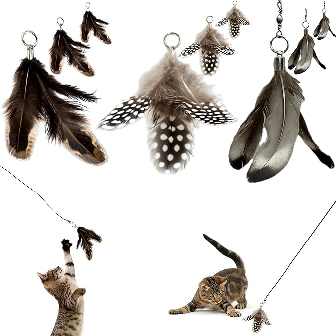 Feather Toys Replacements by Repounce