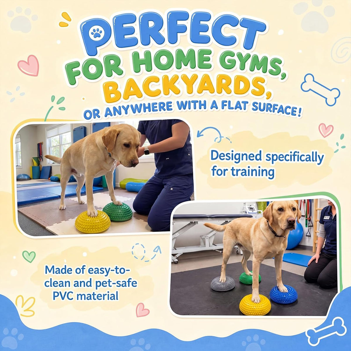 Chalyna 6 Pcs Dog Agility Equipment