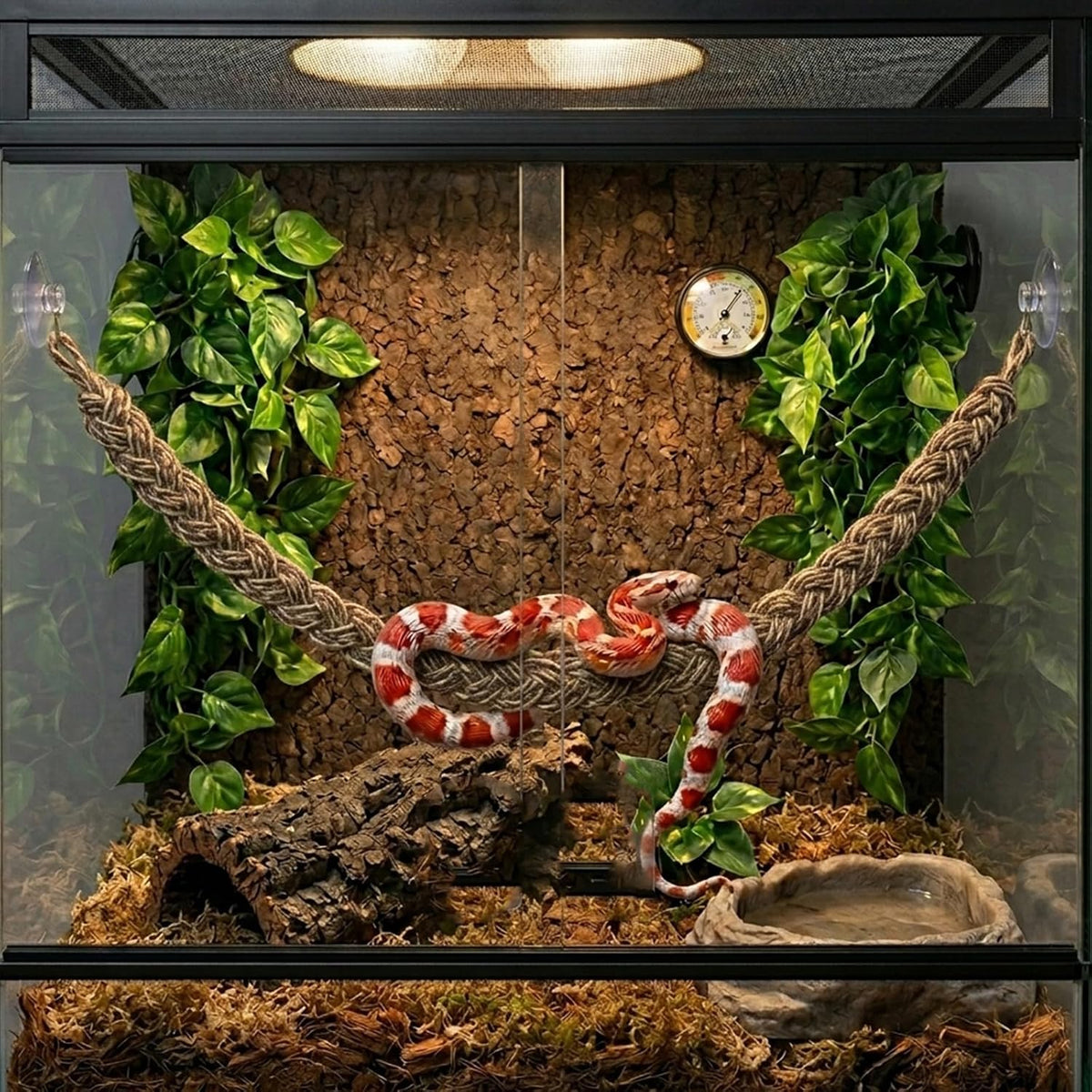 Rope for Snake Climbing Accessories, Ball Python Enrichment Toys (Brown)