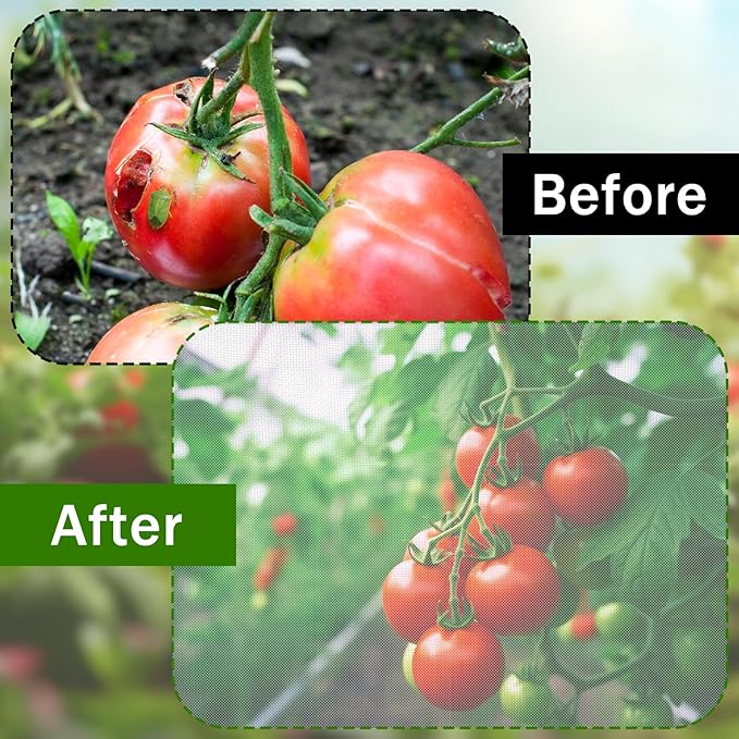3 Pcs Round Tomato Cage Bird Netting Plant Cover, Trellis Plants - Image 5