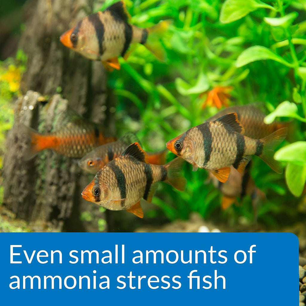 API Ammonia 130-Test Freshwater and Saltwater Aquarium Water Test Kit