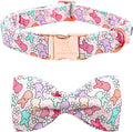 Lionheart Glory X-Small Dog & Rabbit Collar by LionheartGlory