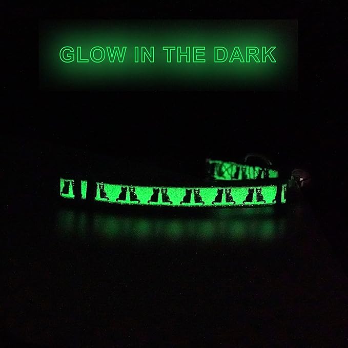 Pawtitas Glow in The Dark Cat Collar - Image 8