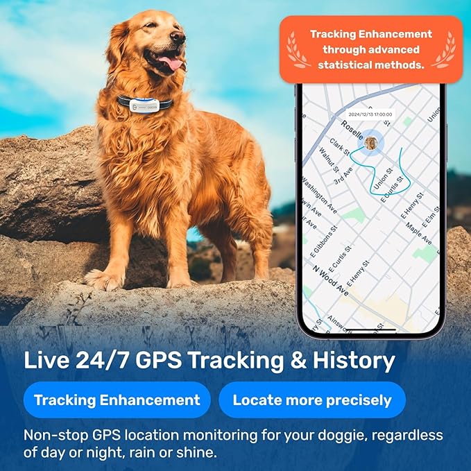 AI GPS Tracker for Dogs, Real Time Location and AI Vet Health Management - Image 8