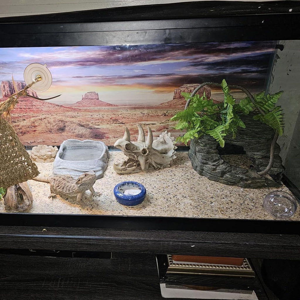 Bearded Dragon Resin Triceratops Skull Hide Decoration Reptiles Artificial Hideout Cave Landscape Tank Accessories Vines Leaves Hideaway Ornaments for Lizards Snake Gecko