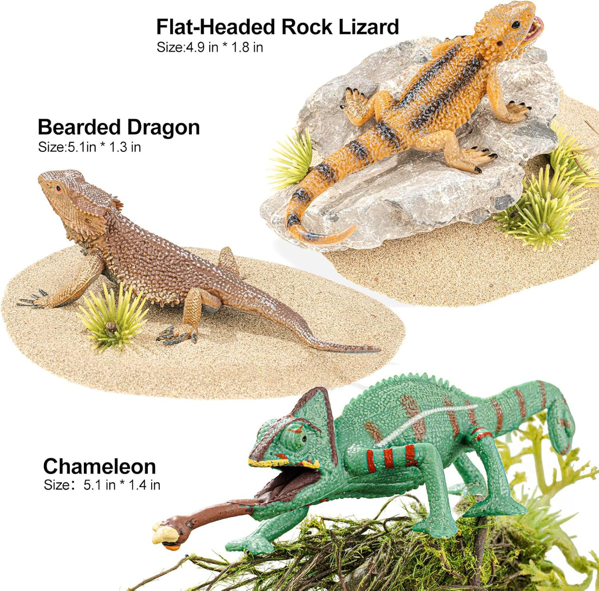 6PCS Large Lizard Figurines Rainforest Animal Toys, Realistic Plastic Reptile Animal Figurines, Includes Bearded Dragon,Fire Salamander,Chameleons,Coast Horned Lizard Toys, STEM Toy for Kids