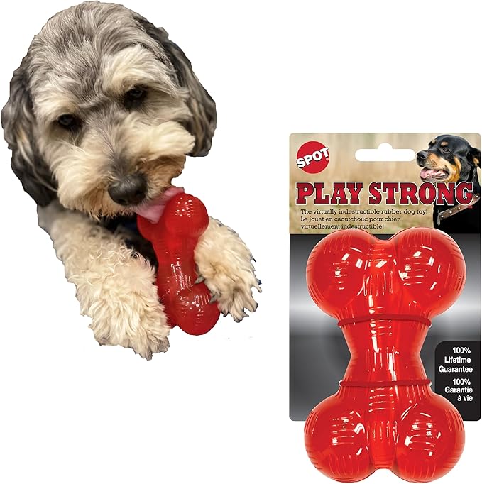 SPOT Play Strong Bone- Durable TPR Long Lasting Dog Chew by SPOT