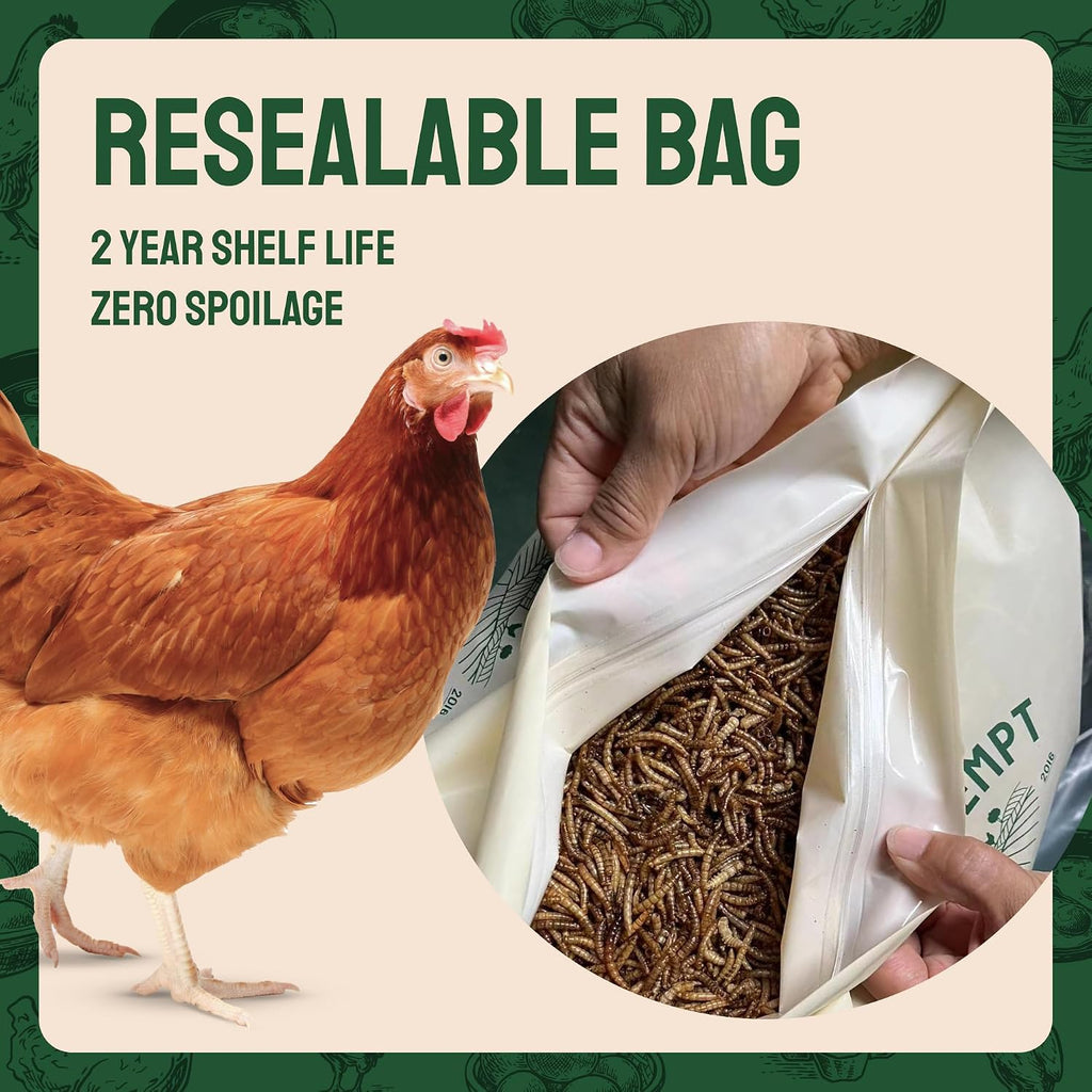 Hatortempt 10lb Dried Mealworms for Chickens & Wild Birds, Chicken Feed