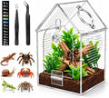 Jumping Spider Enclosure, Clear Acrylic Arboreal Terrarium with Front Opening Door, Escape-Resistant Ventilation, Starter Habitat Kit with Accessories for Sling, Baby Spiders and Praying Mantis