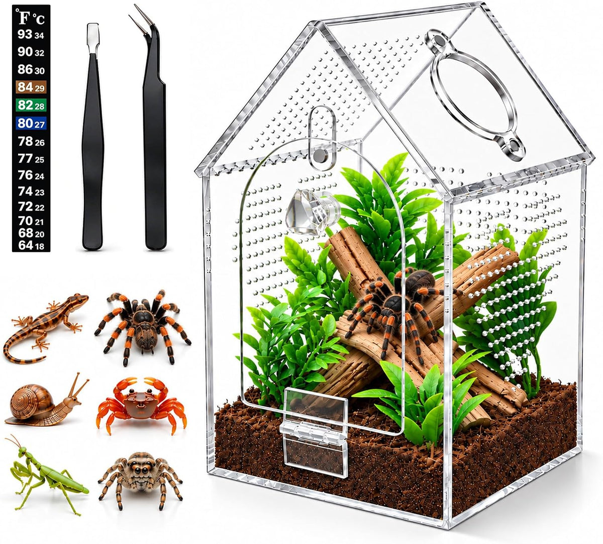 Jumping Spider Enclosure, Clear Acrylic Arboreal Terrarium with Front Opening Door, Escape-Resistant Ventilation, Starter Habitat Kit with Accessories for Sling, Baby Spiders and Praying Mantis