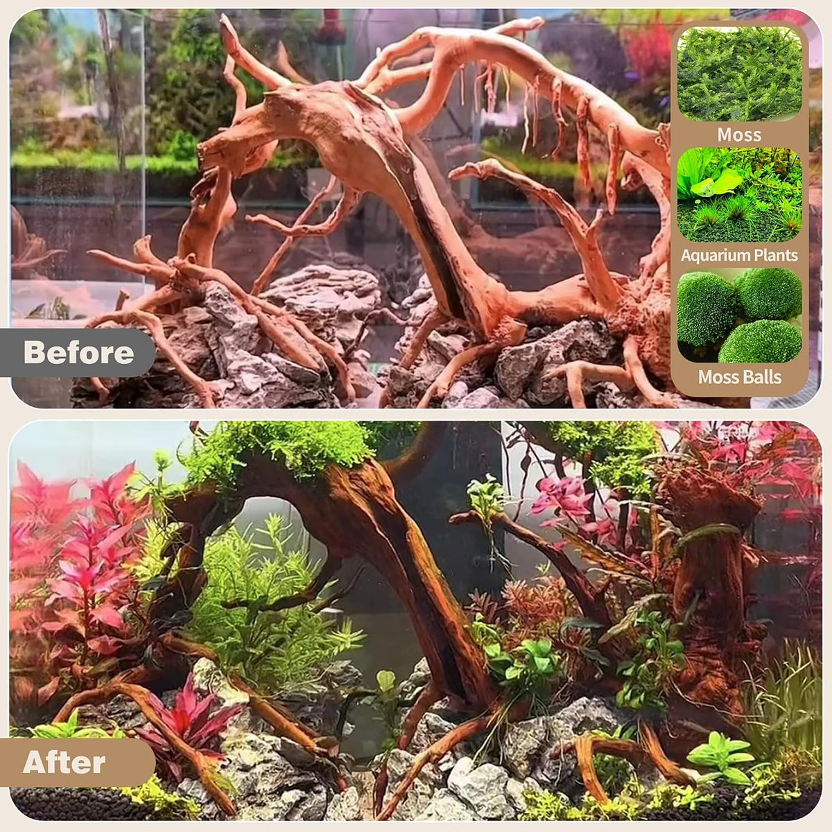 WDEFUN Natural Spiderwood for Aquarium Decor 5-Piece 4''-8'' Long Natural Driftwood Branches for Fish Tank Decorations