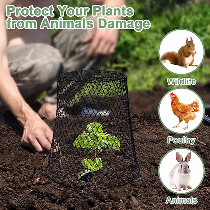 10 Pcs Chicken Wire Cloche Plant Covers Garden Netting Metal Heavy Duty Plant - Image 6